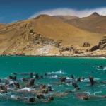 0-Paracas-Walter-H.-Wust