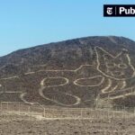 19peru-cat-1sub-videoSixteenByNine3000-v2