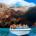 islas-ballestas-paracas-1